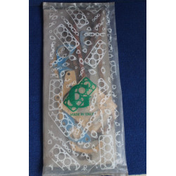 SET MOTOR GASKETS WITHOUT HEAD 600 1s.