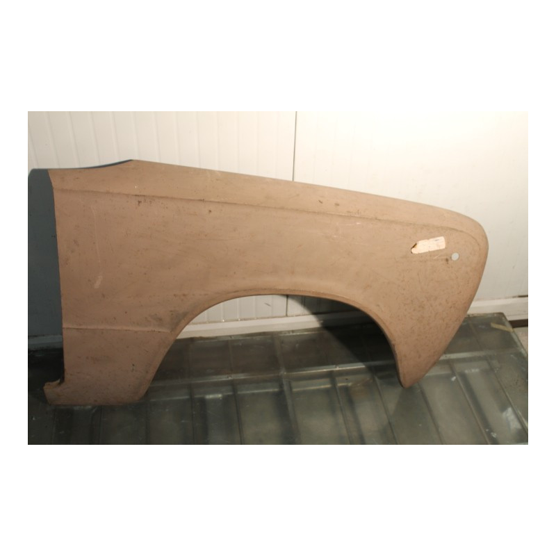 124  FRONT RIGHT FENDEER  4250423