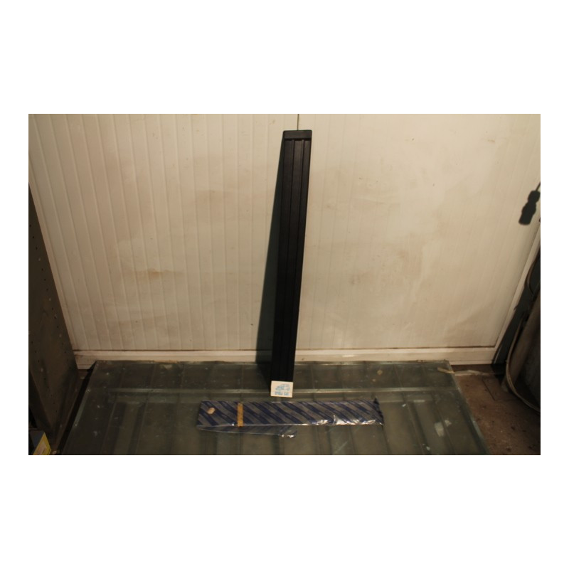 A 112 LEFT DOOR PLASTIC MOLDING