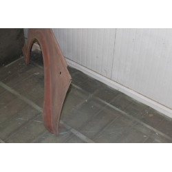 1100 D  PARAFANGO ANTERIORE DX