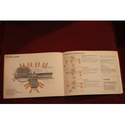 RENAULT 4    USE AND SERVICE BOOK   IN ITALIAN