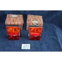 PRIMULA COUPE' TAILIGHT ALTISSIMO PAIR NOS