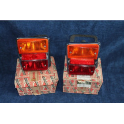 PRIMULA COUPE' TAILIGHT ALTISSIMO PAIR NOS